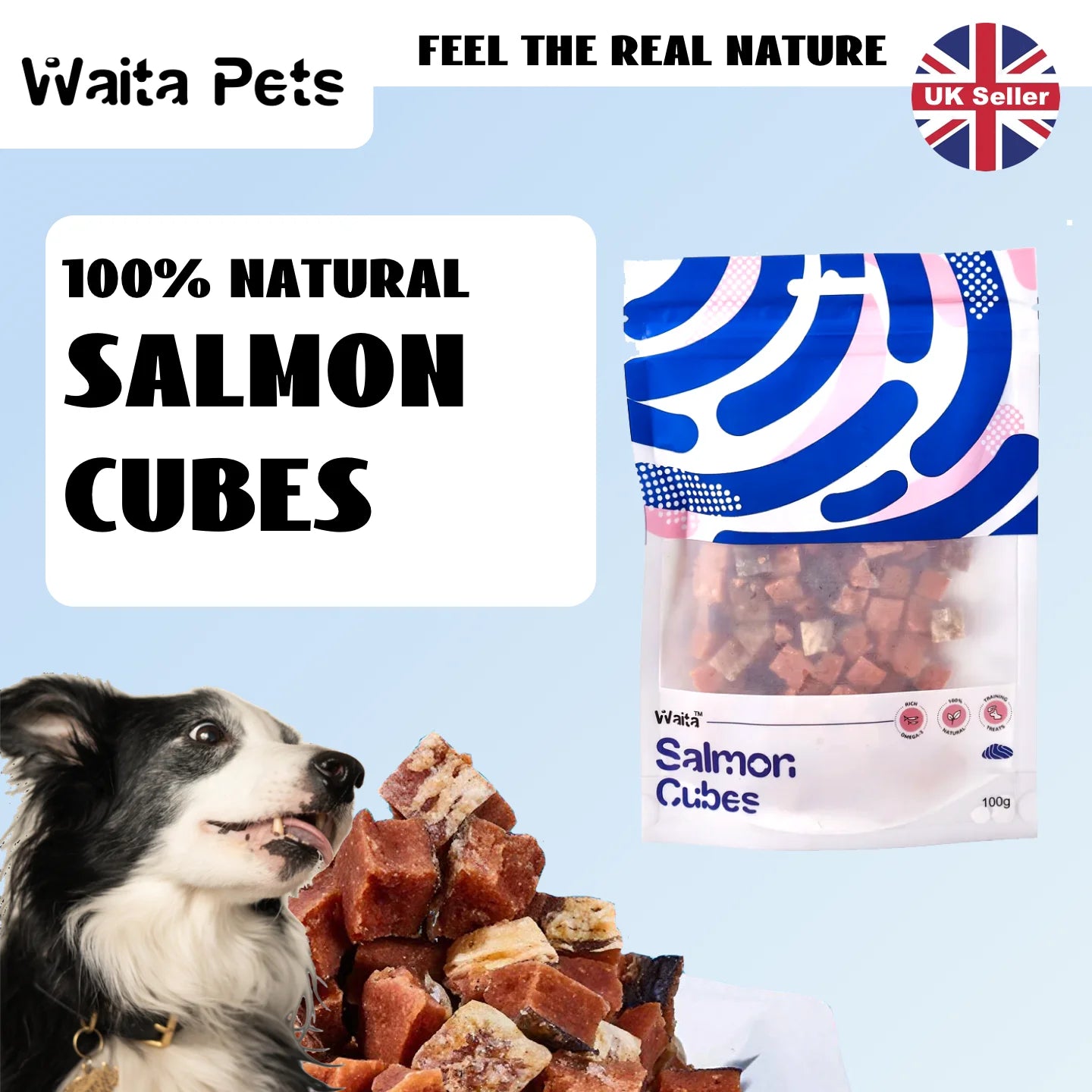 Salmon Cube Treats