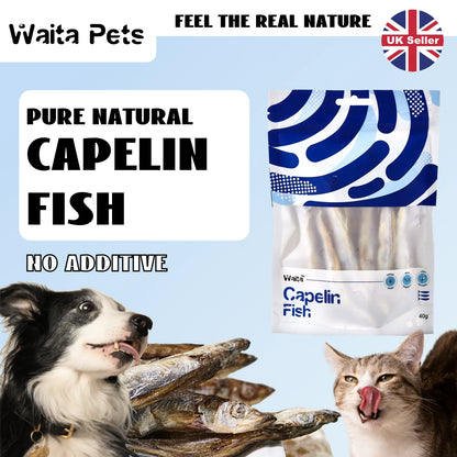 Freeze Dried Capelin