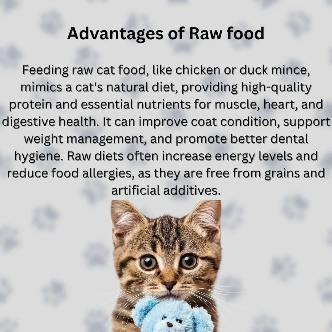 Raw Chicken Mince