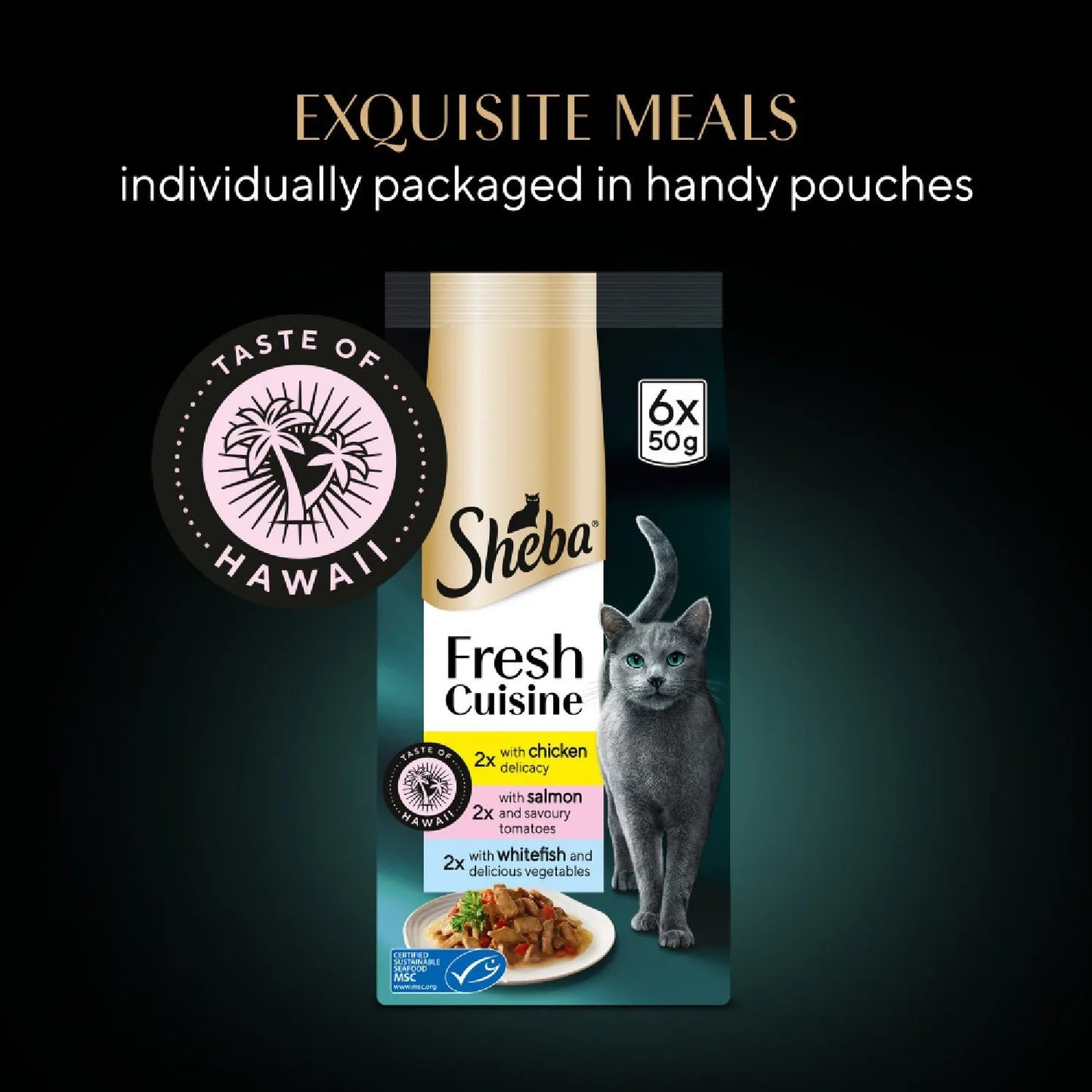 Gravy Cat Food Pouches