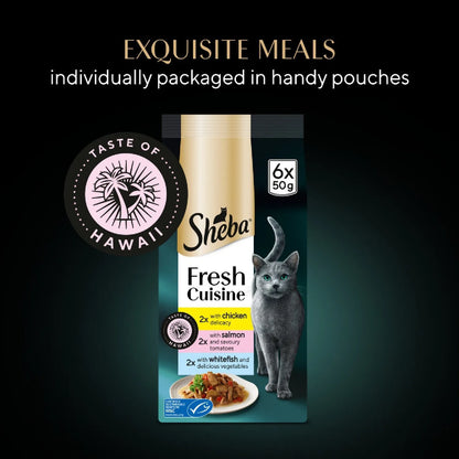 Gravy Cat Food Pouches