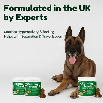 Calming Dog Chews