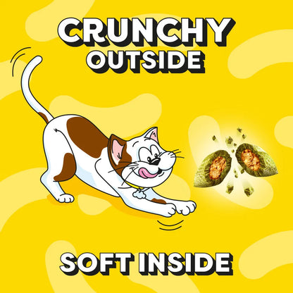 Catnip Cat Treat Biscuits