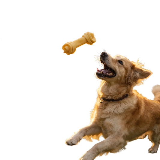 Knotted Rawhide Chew Bones