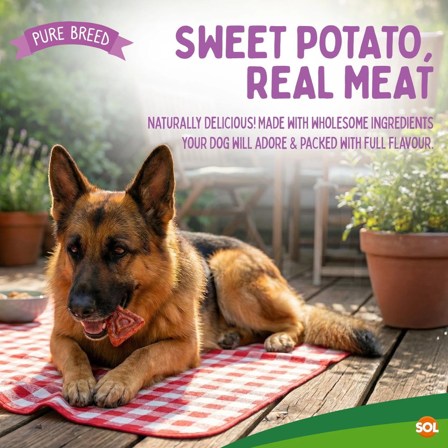 Pizza Dog Chews