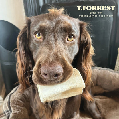 Meaty Filled Bone Dog Treats