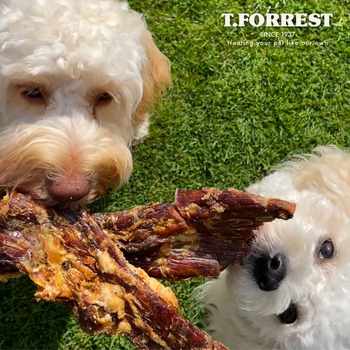 Beef Paddywack Dog Treats