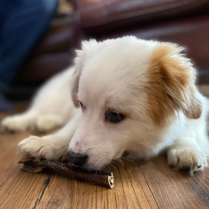 Beef Tripe Stick Treats