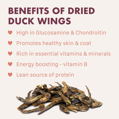 Dried Duck Wings Treats