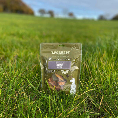 Dried Duck Feet Treats