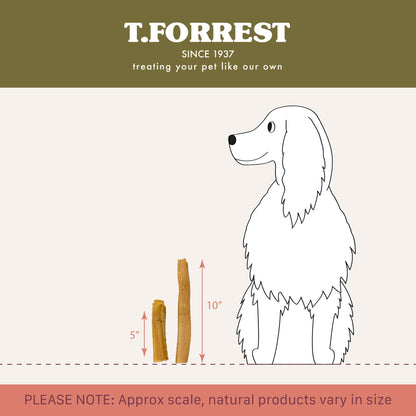 Pork Roll Dog Treats